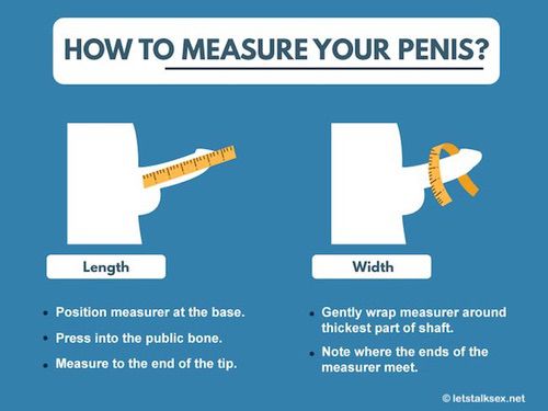how to measure your penis